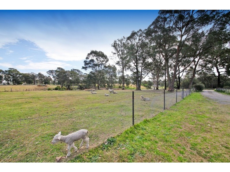380 Pheasants Nest Road, Pheasants Nest NSW 2574