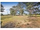 380 Pheasants Nest Road, Pheasants Nest NSW 2574