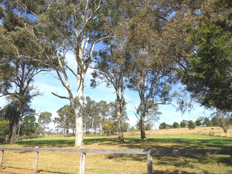 115 Kendall Street, Thirlmere NSW 2572