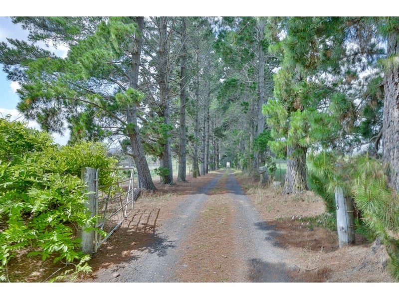 220 Fergusson Road, Lakesland NSW 2572
