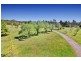 770 Old Hume Highway, Alpine NSW 2575