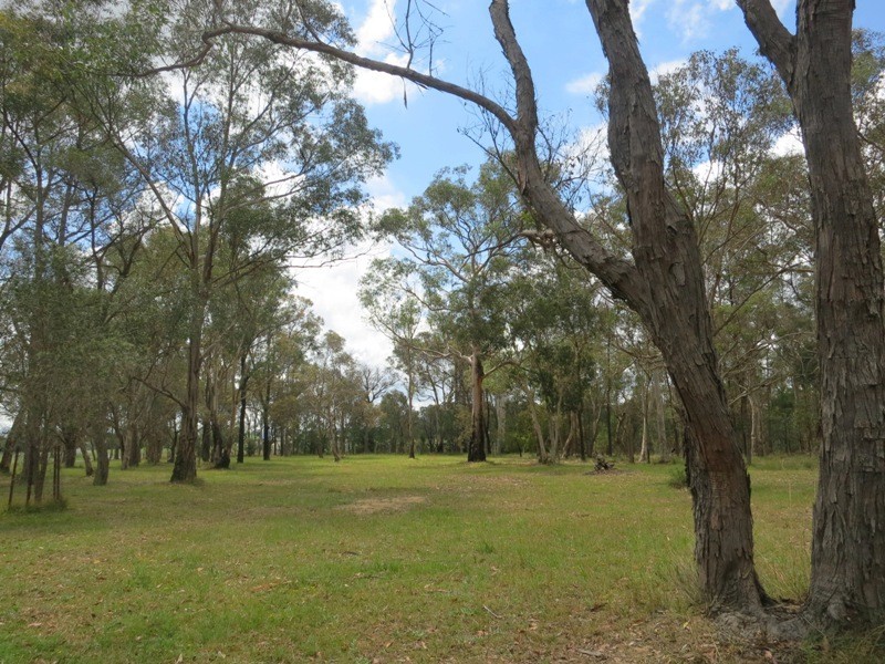 200 Pheasants Nest Road, Pheasants Nest NSW 2574
