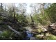 80 Ashwood Road, Wilton NSW 2571