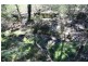 80 Ashwood Road, Wilton NSW 2571