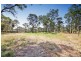 519 Pheasants Nest Road, Pheasants Nest NSW 2574