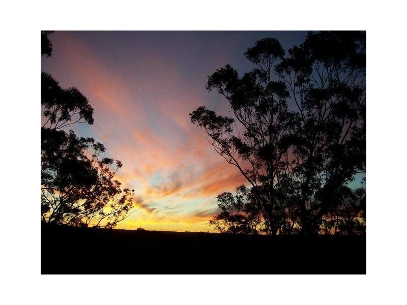 155 Rotherwood Road, Picton NSW 2571