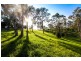 Lot 44, 8 Attunga Close, Picton NSW 2571