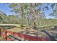 495 Steveys Forest Road, Oakdale NSW 2570