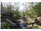 80 Ashwood Road, Wilton NSW 2571