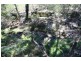 80 Ashwood Road, Wilton NSW 2571