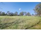 375 Pheasants Nest Road, Pheasants Nest NSW 2574