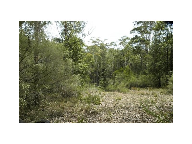 125 News Road, Werombi NSW 2570