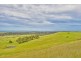 1285 Menangle Road, Picton NSW 2571