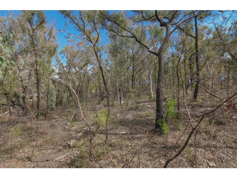 Lots 10&11 off Station Street, Balmoral Village NSW 2571