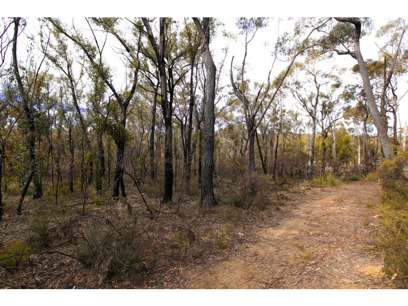 Lots 12&13 off Station Street, Balmoral Village NSW 2571