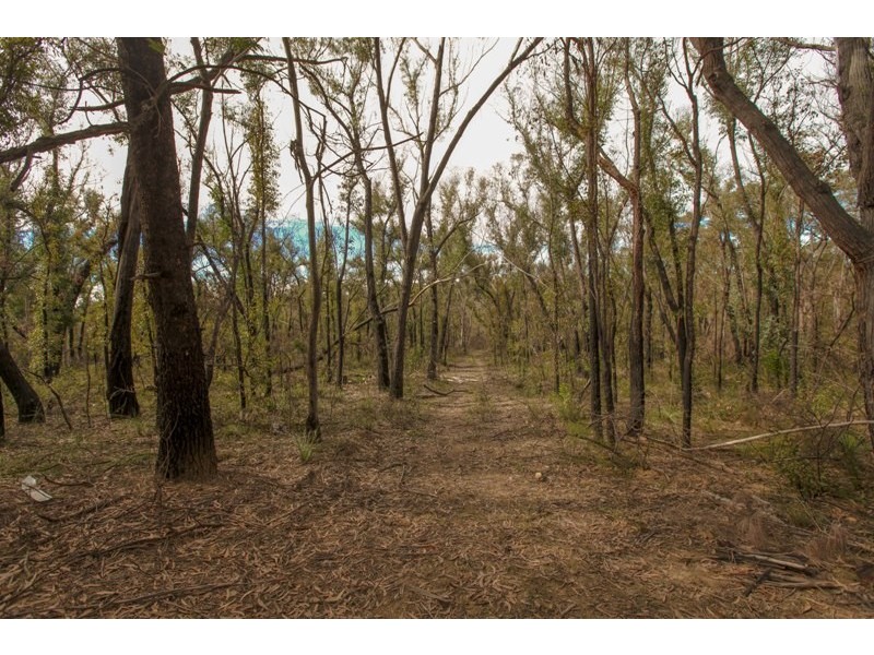 Lots 12&13 off Station Street, Balmoral Village NSW 2571