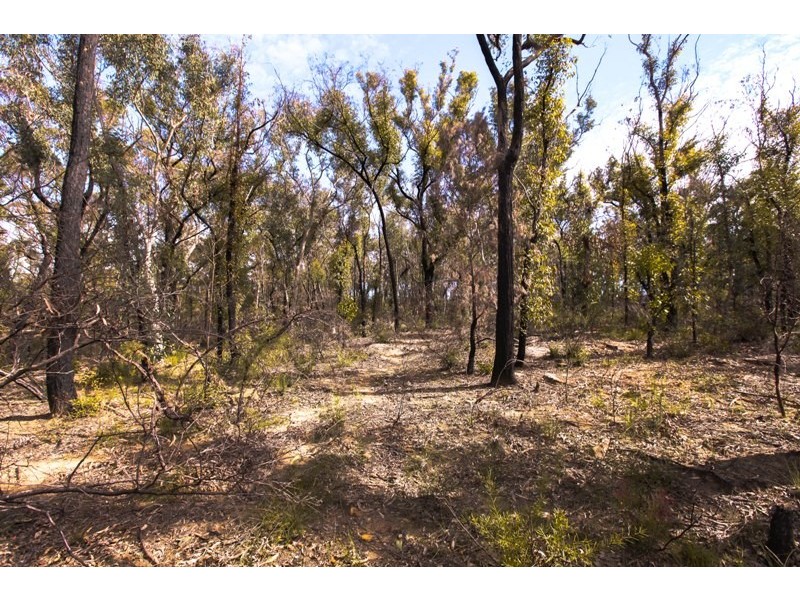 Lots 12&13 off Station Street, Balmoral Village NSW 2571