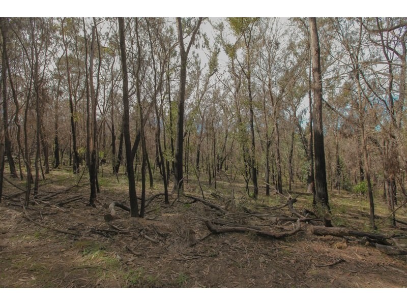 Lots 14&15 off Station Street, Balmoral Village NSW 2571