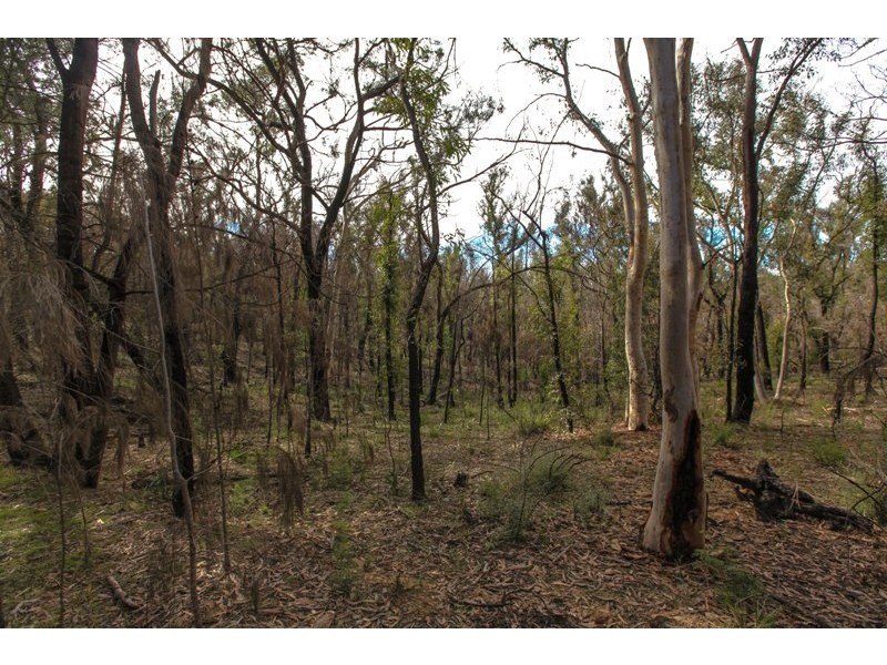 Lots 16-18 off Station Street, Balmoral Village NSW 2571