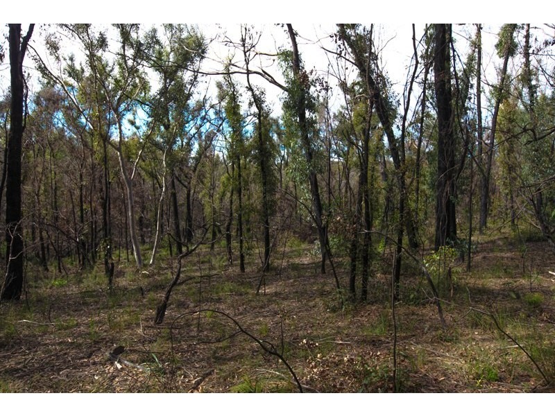 Lots 16-18 off Station Street, Balmoral Village NSW 2571