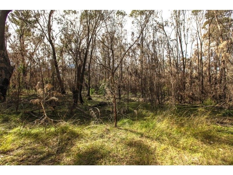 Lots 19&20 off Station Street, Balmoral Village NSW 2571