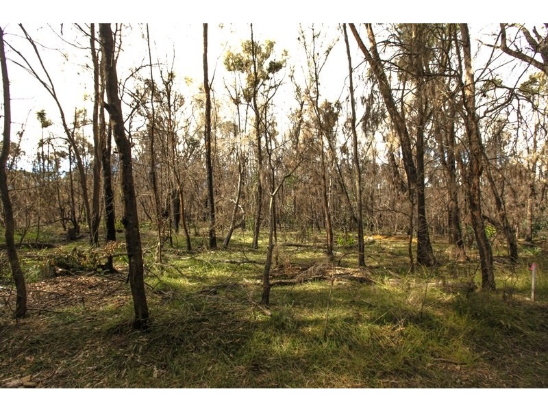 Lots 19&20 off Station Street, Balmoral Village NSW 2571