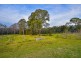 105 Ruddocks Road, Lakesland NSW 2572