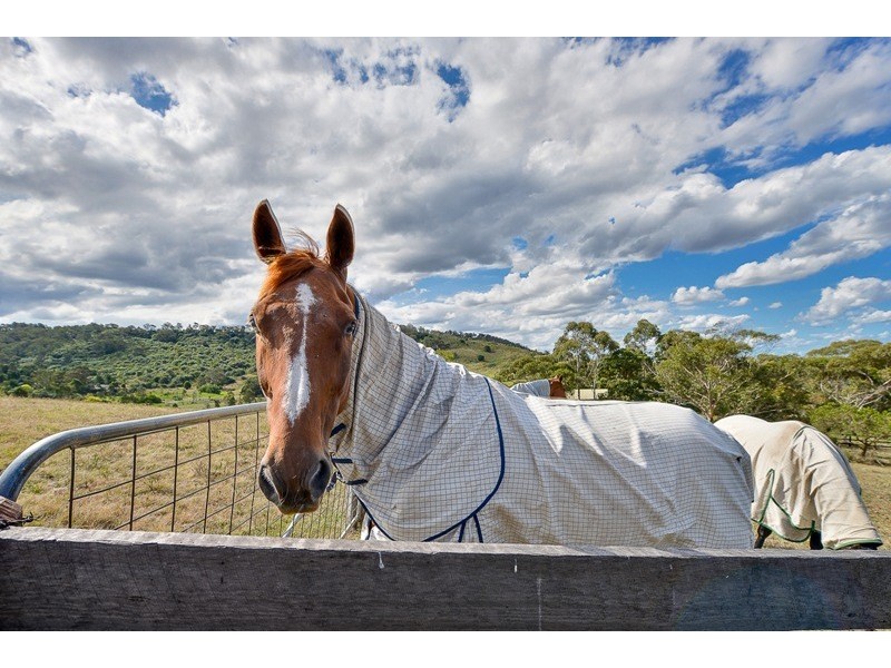 85 Cummins Road, Menangle NSW 2568