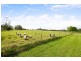240 Arina Road, Bargo NSW 2574