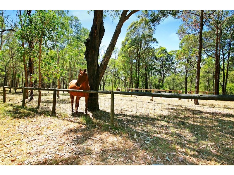 32 Lisa Road, Wilton NSW 2571