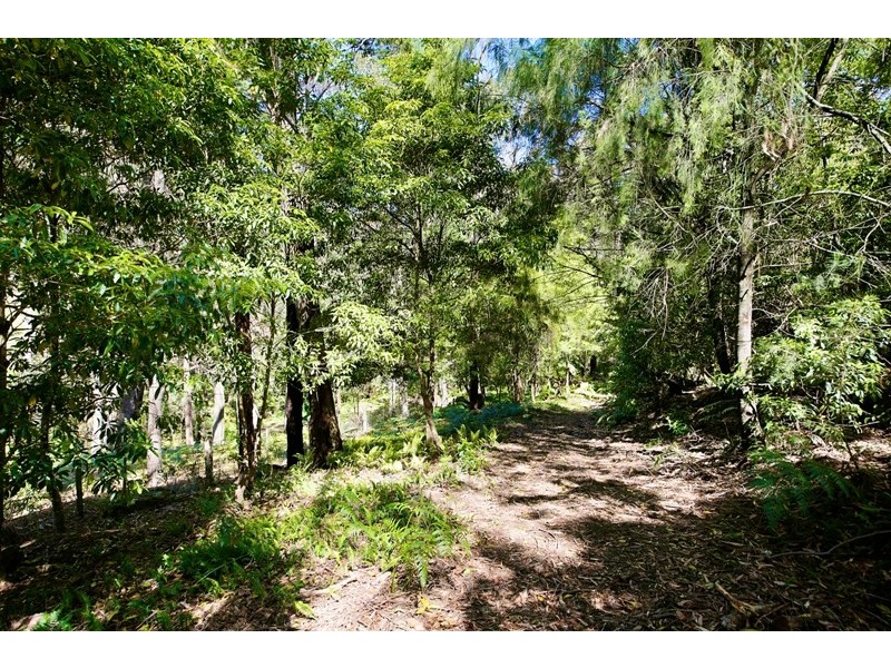 19 Bertha Street, Hill Top NSW 2575