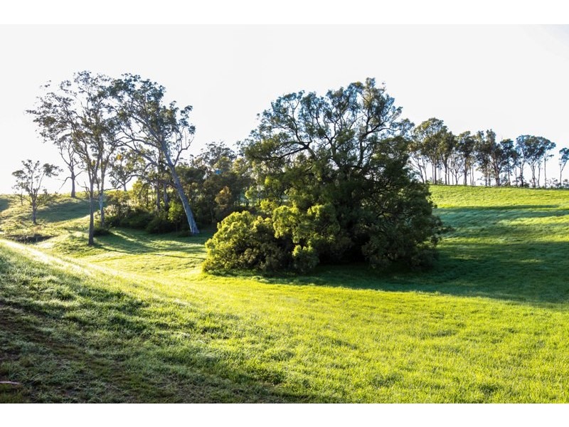 Lot 38, 9 Carramar Close, Picton NSW 2571