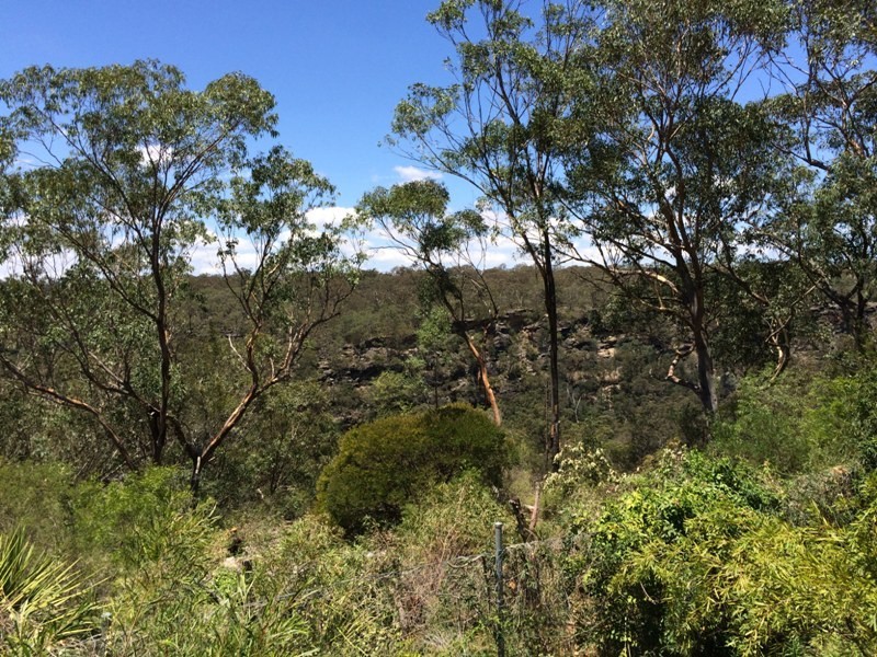 10 Carra Avenue, Douglas Park NSW 2569