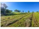 Lot 37, 12 Carramar Close, Picton NSW 2571