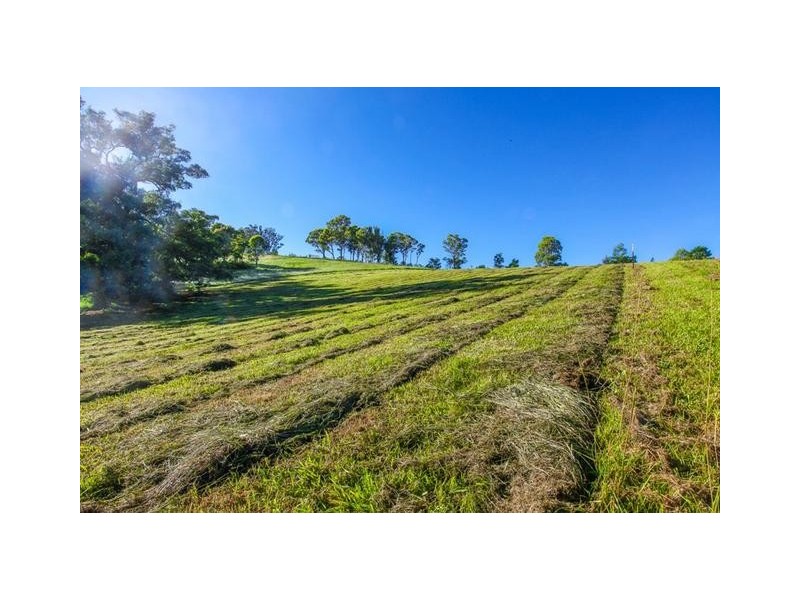 Lot 37, 12 Carramar Close, Picton NSW 2571