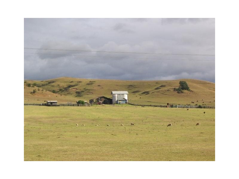 20 Abbotsford Road, Picton NSW 2571