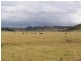 20 Abbotsford Road, Picton NSW 2571