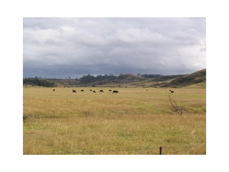 20 Abbotsford Road, Picton NSW 2571