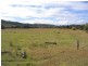 20 Abbotsford Road, Picton NSW 2571