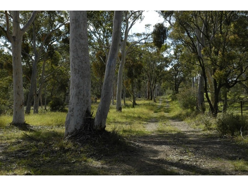 35 Esen Way, Pheasants Nest NSW 2574