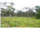 495 Pheasants Nest Road, Pheasants Nest NSW 2574