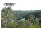 495 Pheasants Nest Road, Pheasants Nest NSW 2574