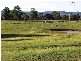 Pheasants Nest NSW 2574