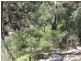 Pheasants Nest NSW 2574
