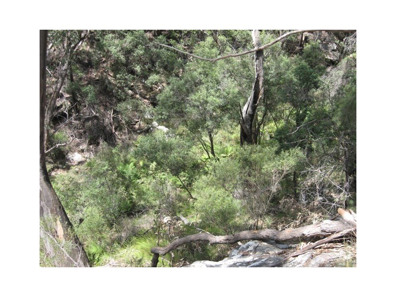 Pheasants Nest NSW 2574