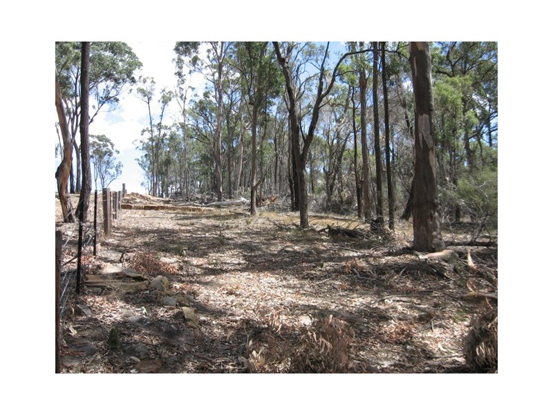 Pheasants Nest NSW 2574
