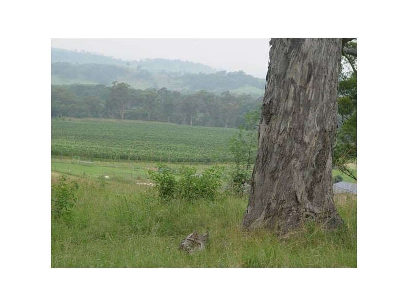 Picton NSW 2571