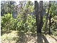 Buxton NSW 2571