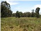 155 Oaks Road, Thirlmere NSW 2572