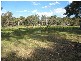 155 Oaks Road, Thirlmere NSW 2572